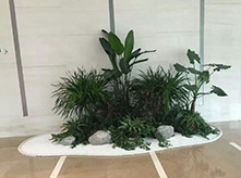 園藝造型